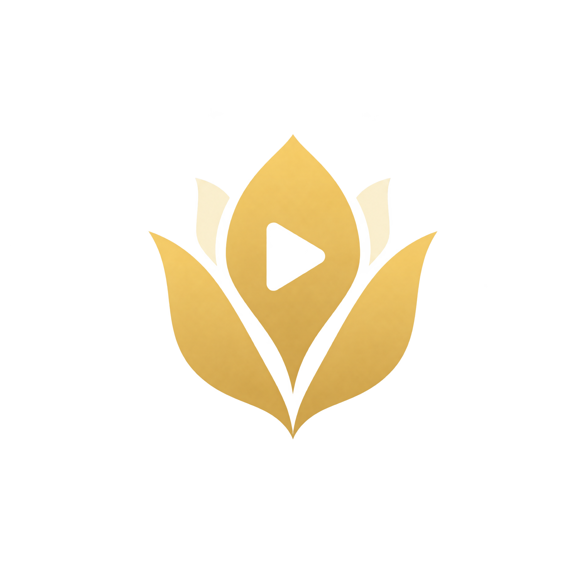探花